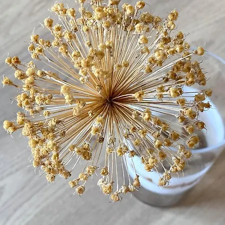 Appartamento Marisa Hvar Iii *